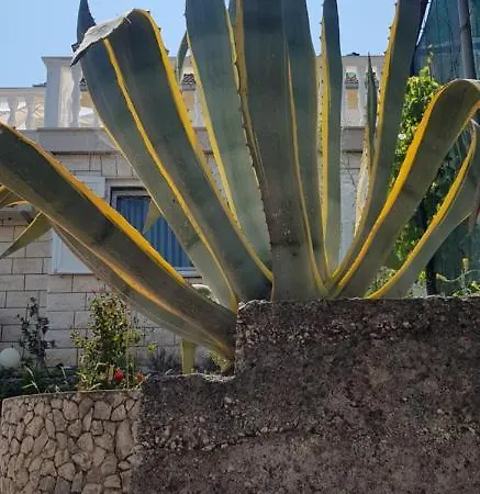 Apartamento Anka Okrug Gornji *